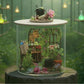 Invernadero 3 Harry Potter Kit Casa Miniatura DIY